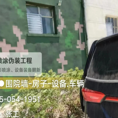 合肥数码迷彩漆施工